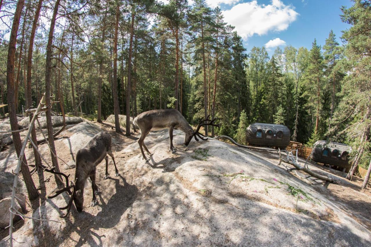 Igluhut - Sleep With Reindeer Villa Esbo Exteriör bild