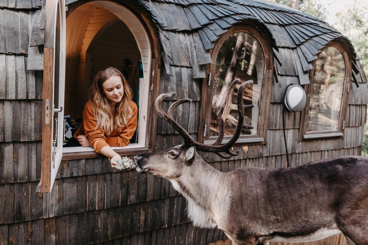 Igluhut - Sleep With Reindeer Villa Esbo Exteriör bild