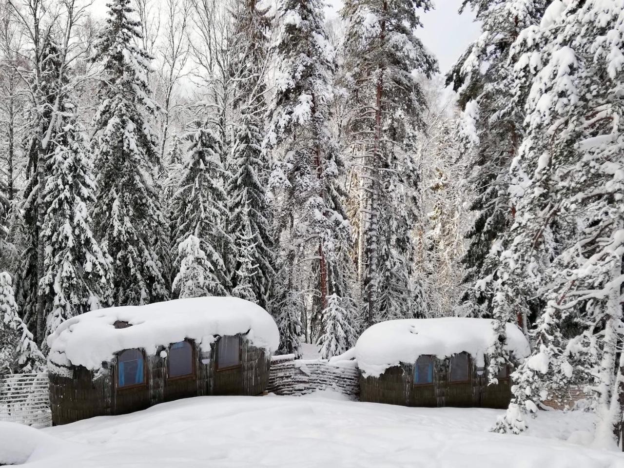 Igluhut - Sleep With Reindeer Villa Esbo Exteriör bild
